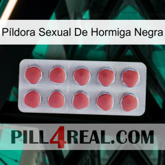 Píldora Sexual De Hormiga Negra 18